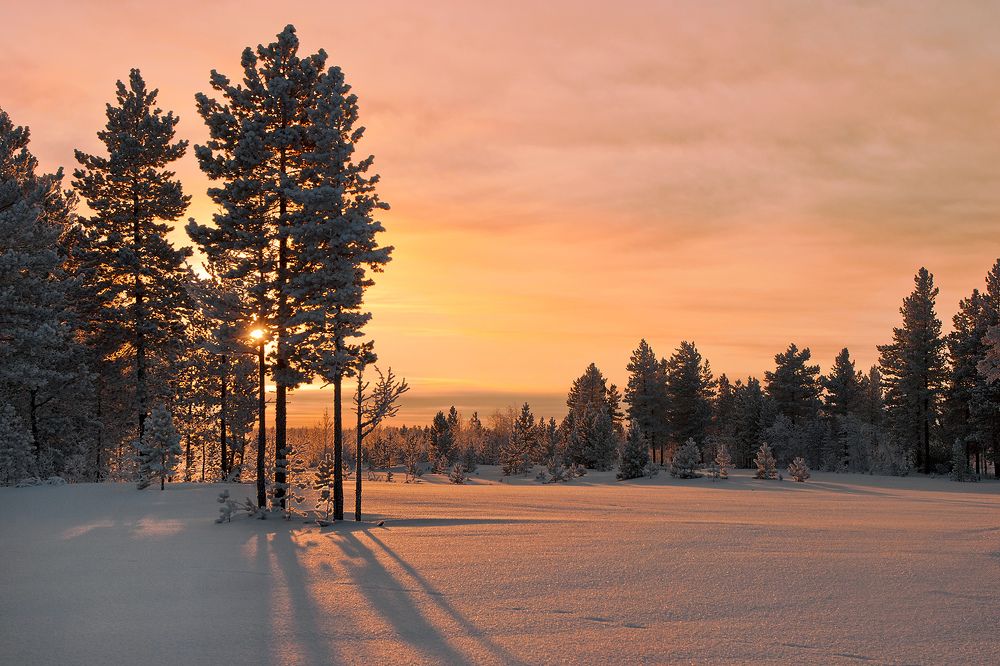 Ванильное небо