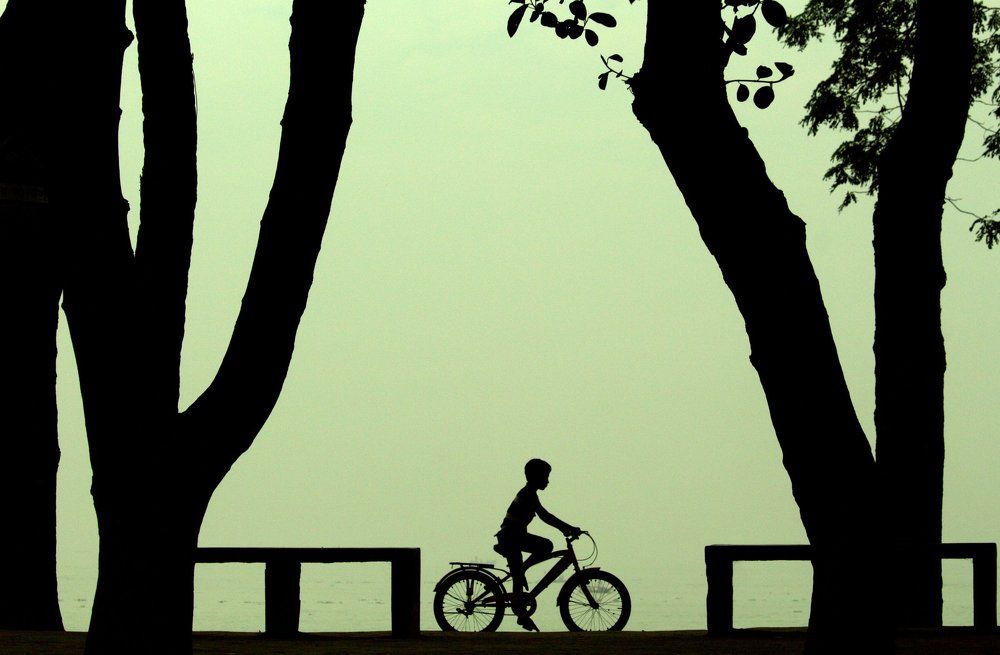 Riding bicycle in a frame