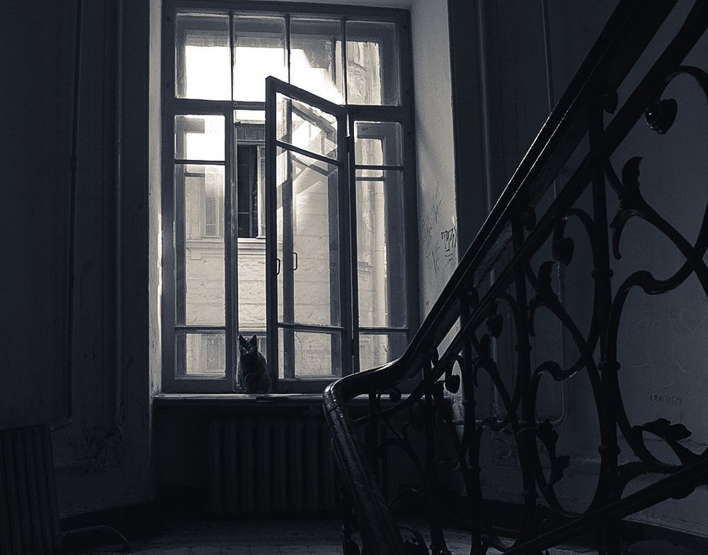 Утренний гость