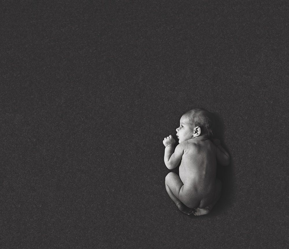 Екатерина. Шум.