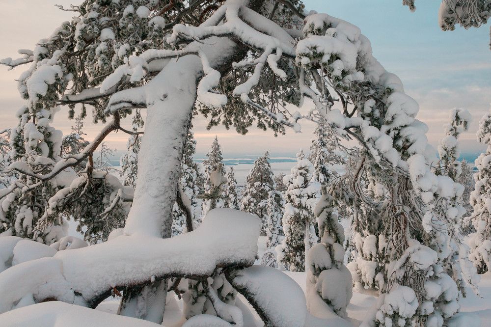 Photograph by Антон