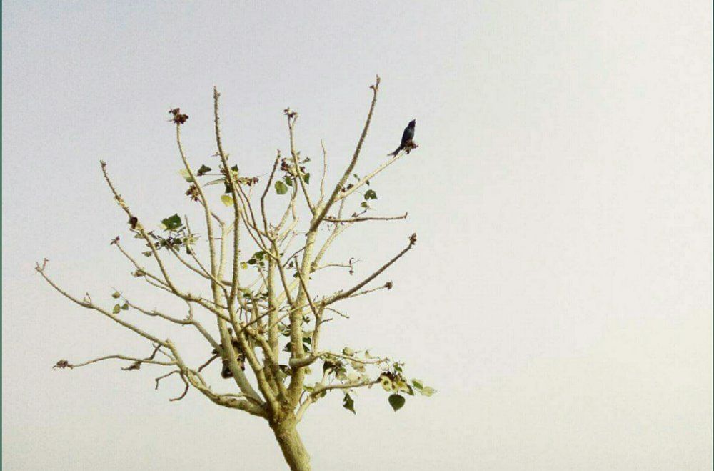 alone