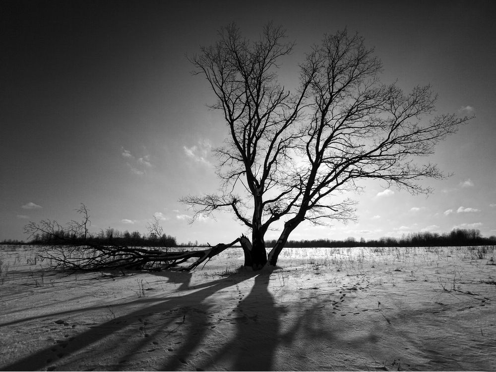 старый друг