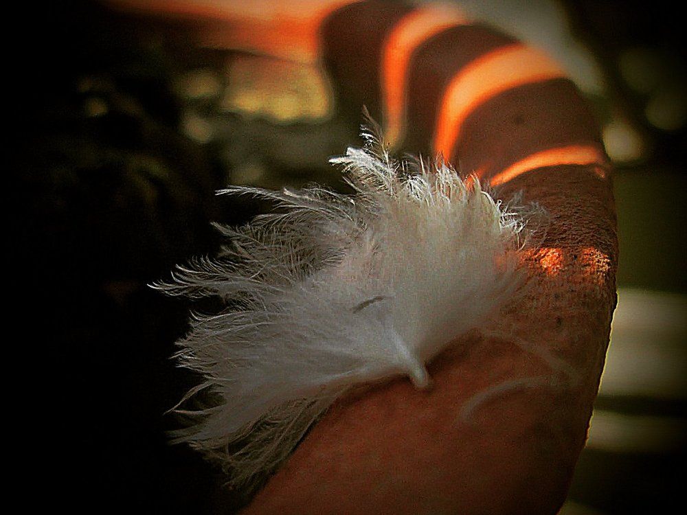 As light as a feather