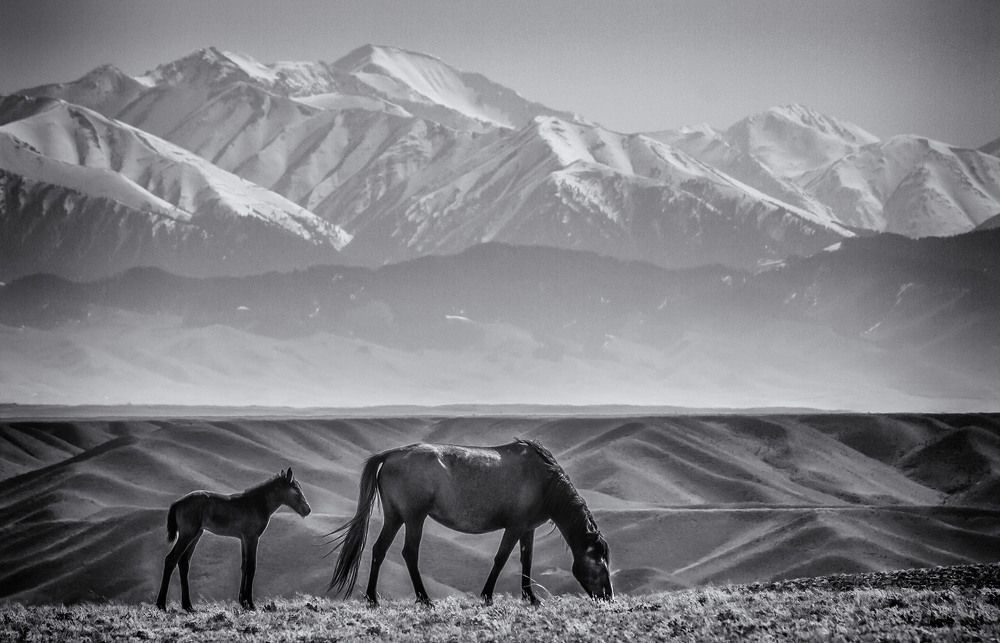Утренняя прогулка