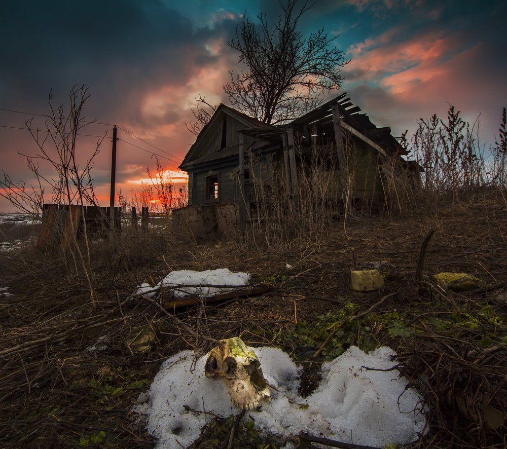 Photograph by Александр Вареньев