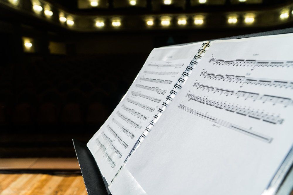 На концерте