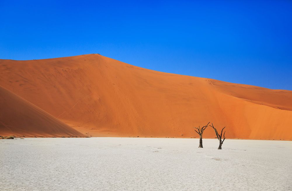 Минималистские пейзажи пустыни Намиб