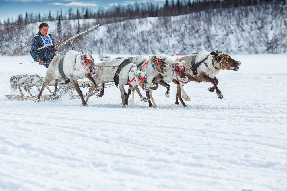 Азарт гонки