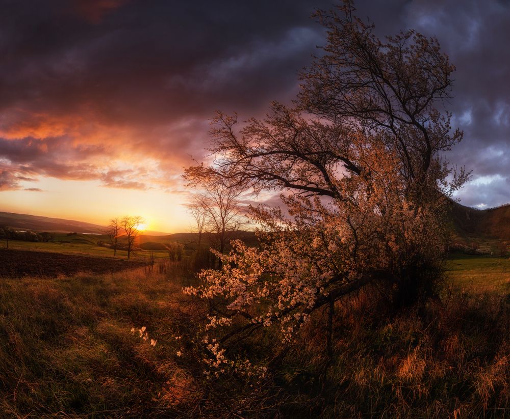 Предчувствие весны...