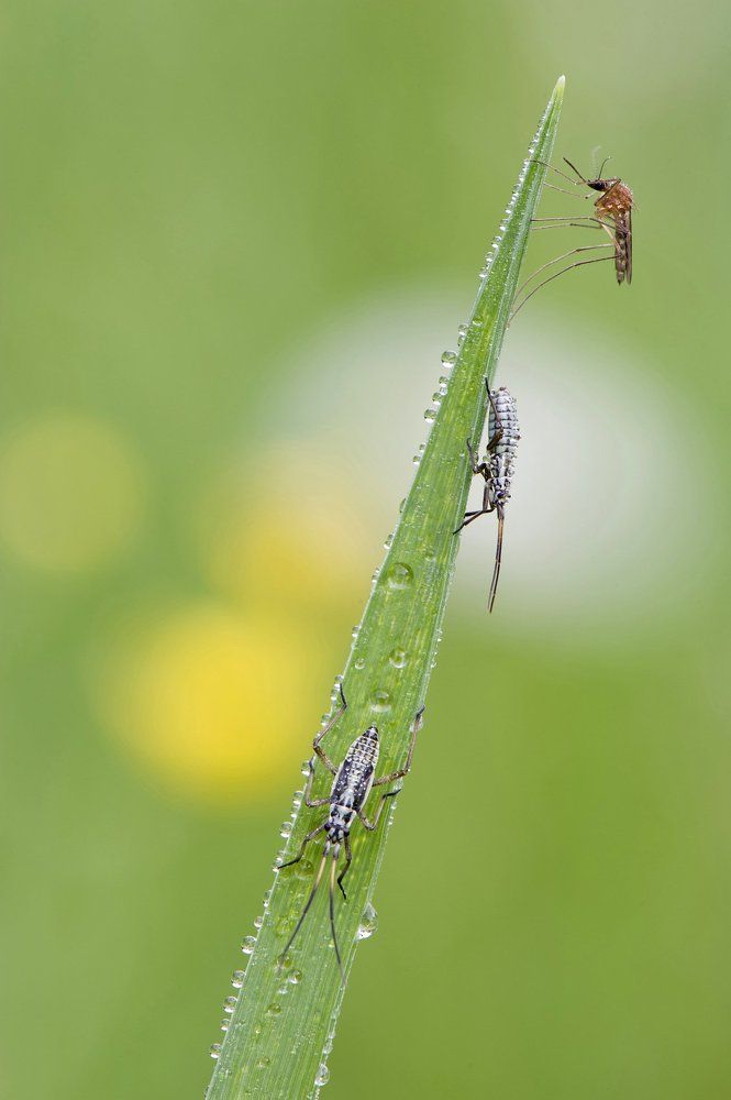 Корабль к пуску готов.