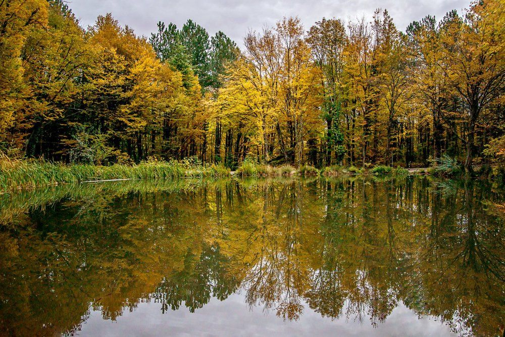 Отражение Осени