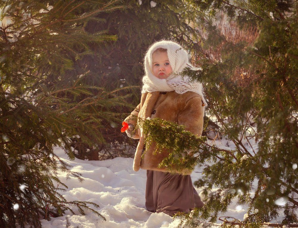 Зимняя прогулка