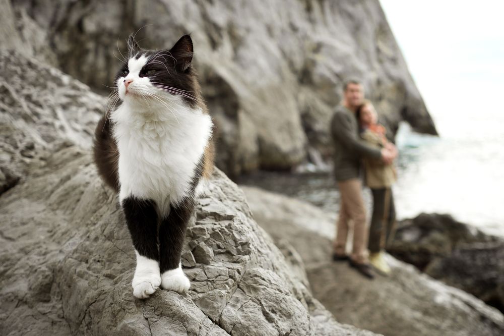 Одиночество