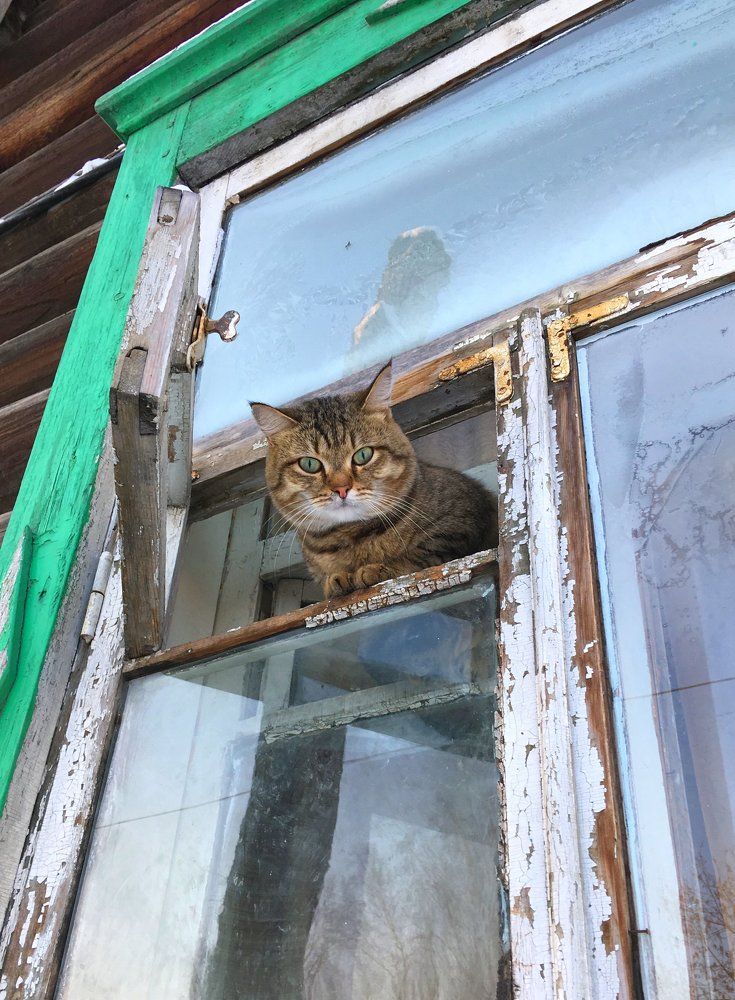 Томские зарисовки