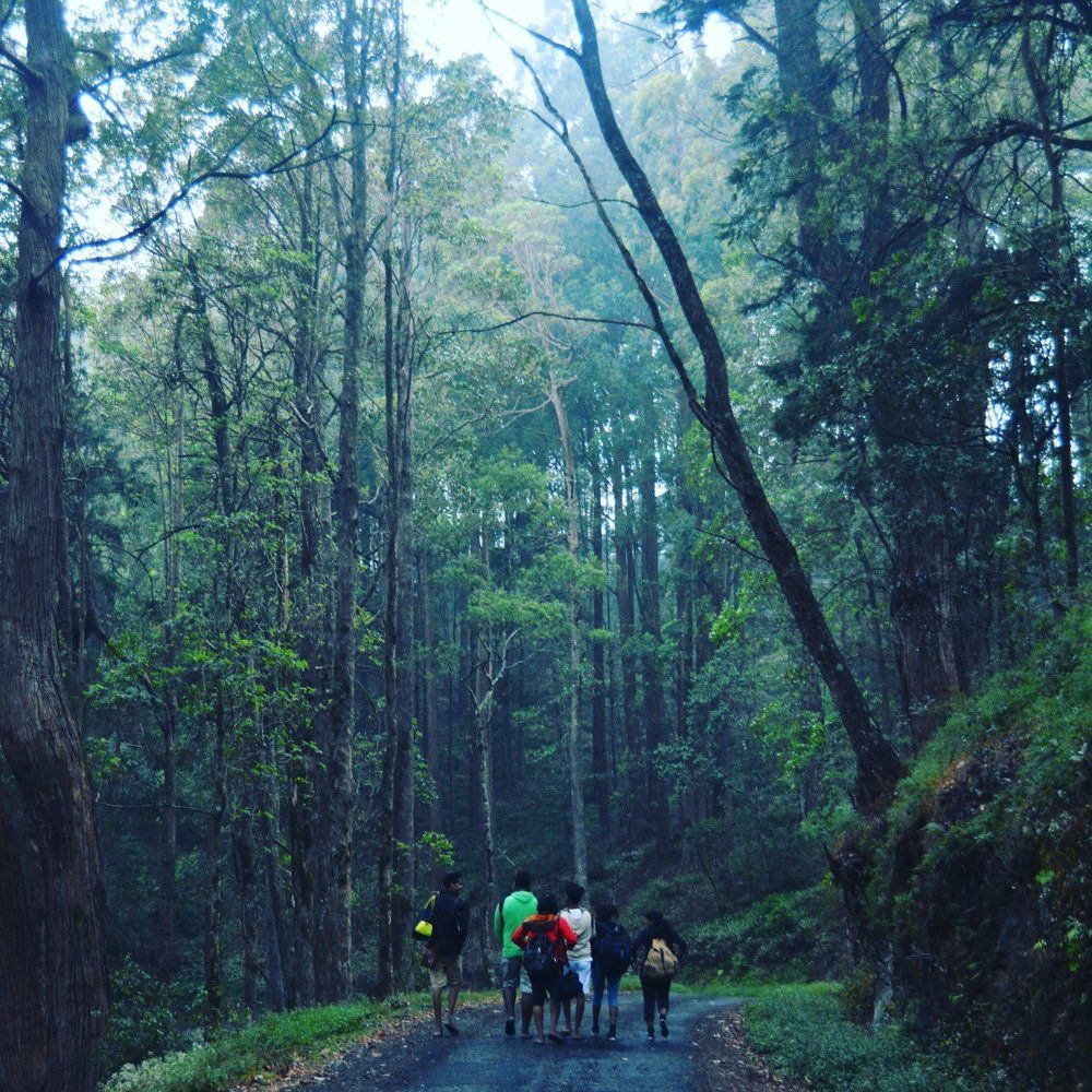 Horton Plains- Ohiya #Srilanka