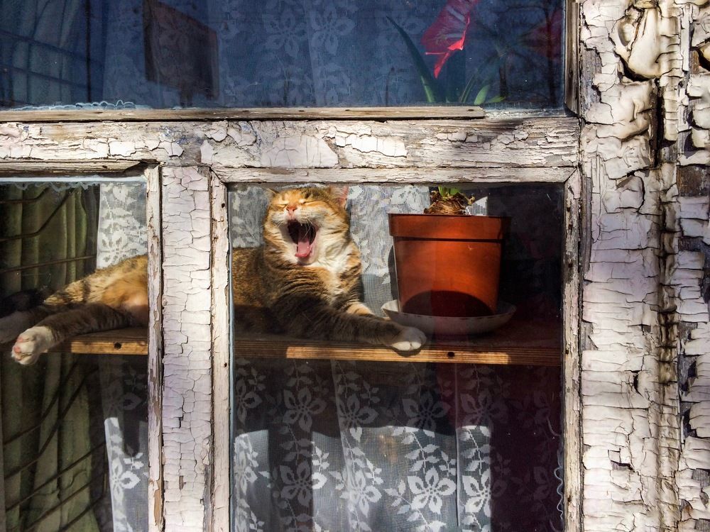 Доброе утро