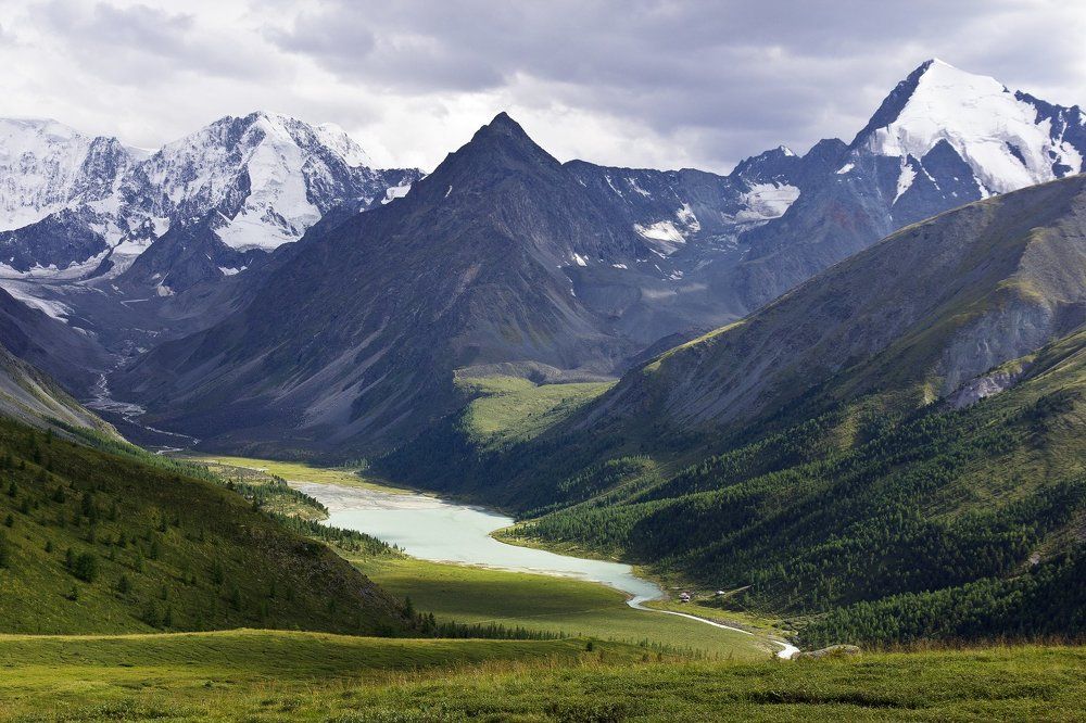 Из зимы в лето