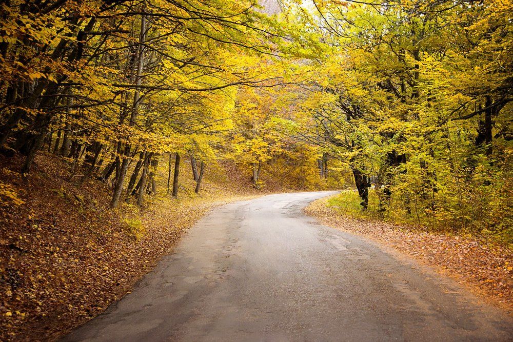 Дорога на Ай-Петри