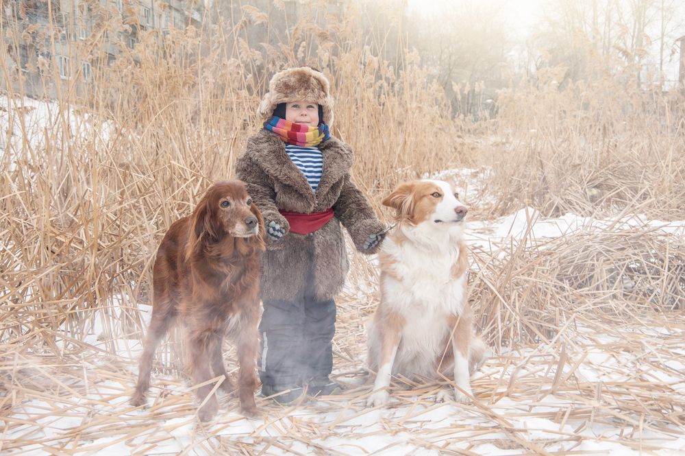 Двойная радость