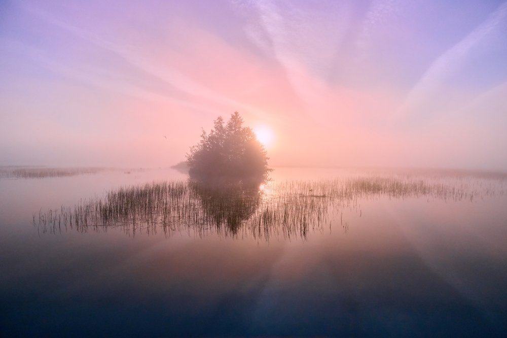 Утро. Озеро. Туман.