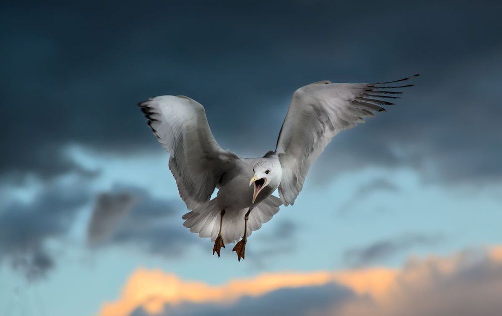 Воздушные пируэты