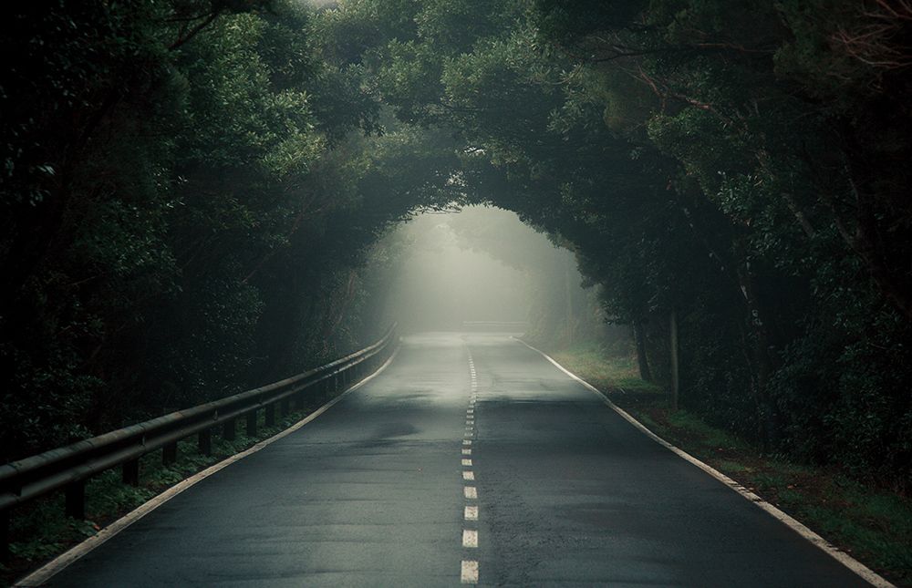 Таинственный лес