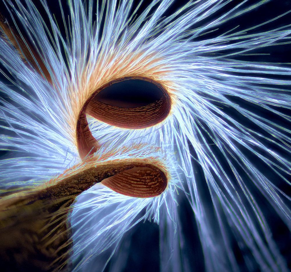 Лестница в небо