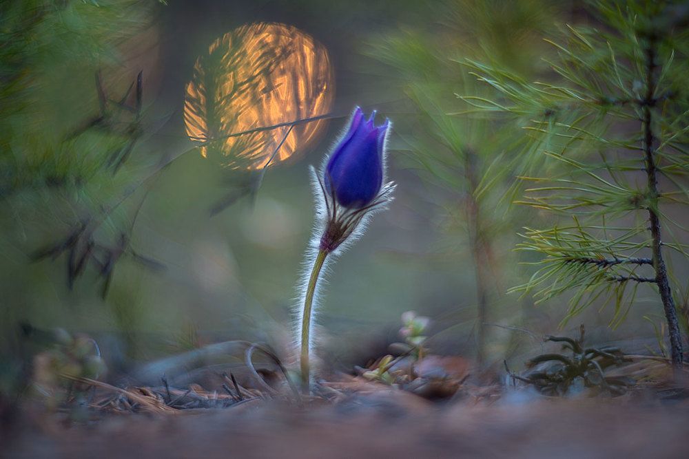 Прощаясь с уходящим солнцем