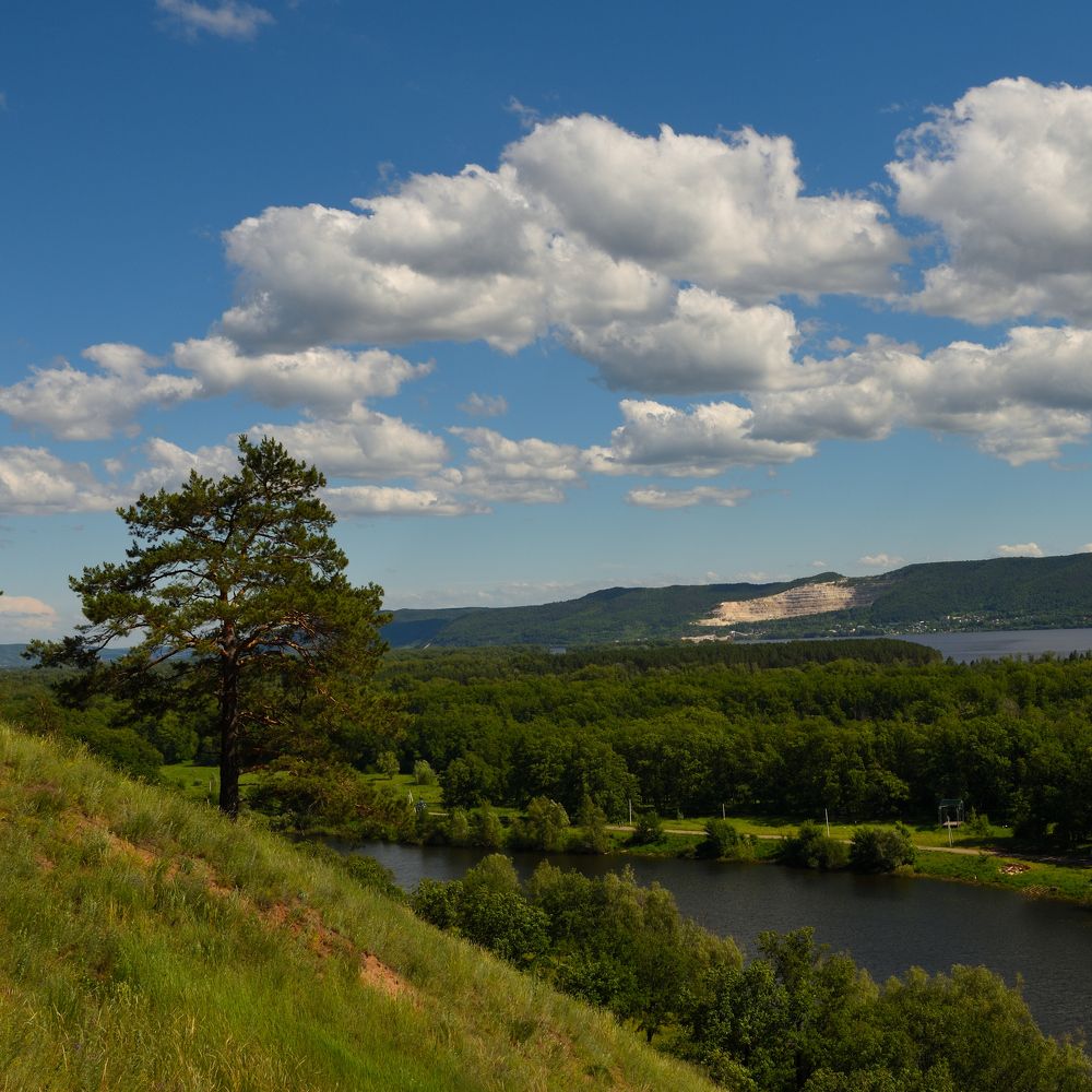 Самарская лука