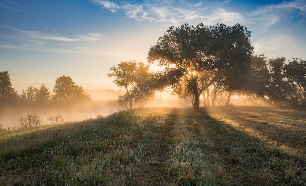 Золотой рассвет на реке Цна