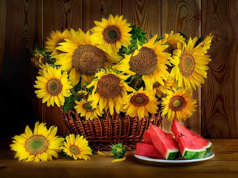 Подсолнечное настроение