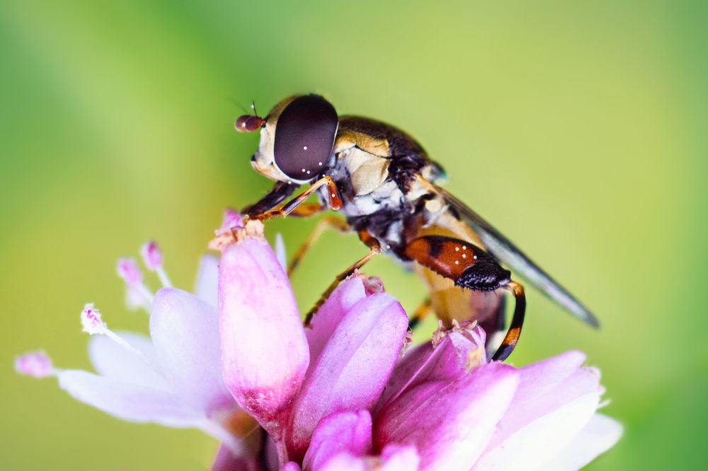 Photograph by Дмитрий Огольцов