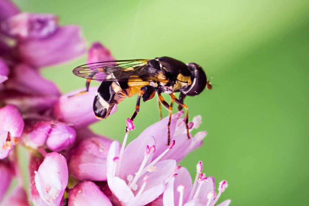 Photograph by Дмитрий Огольцов