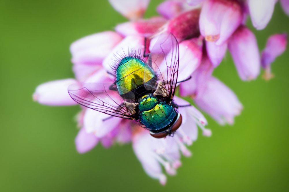 Photograph by Дмитрий Огольцов