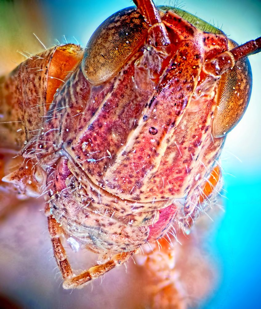 Добро пожаловать в мой мир