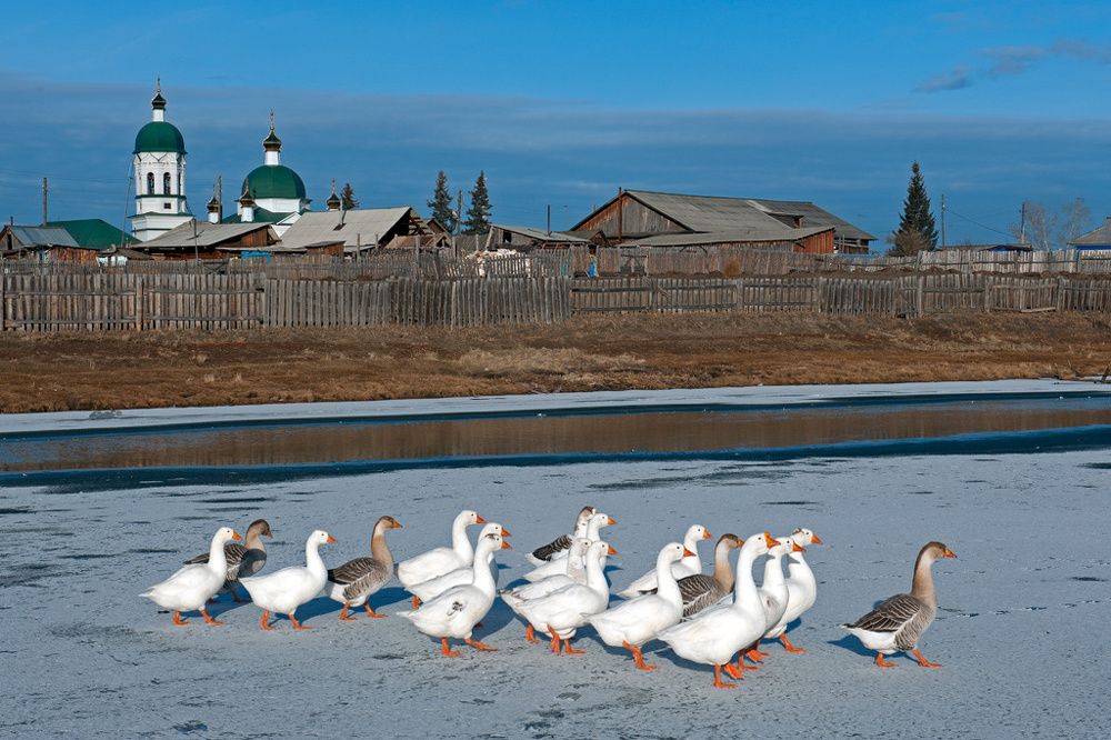 Под солнцем ноября