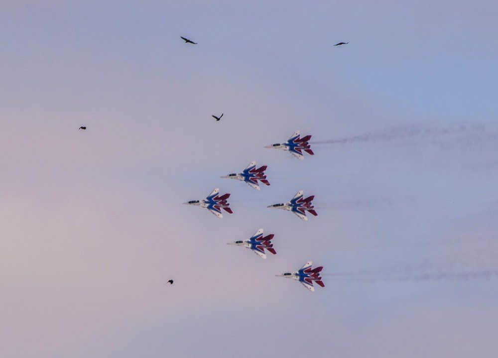 Стрижи прилетели