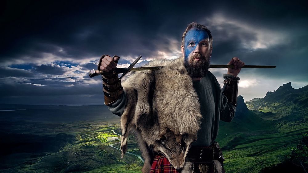 Друг викинг