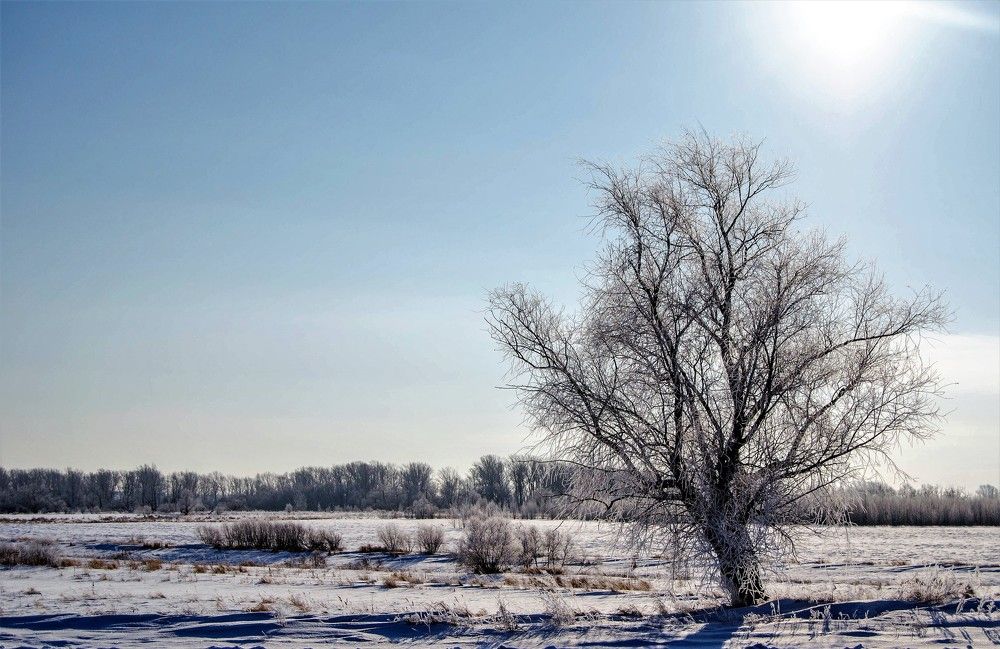 Зимнее утро