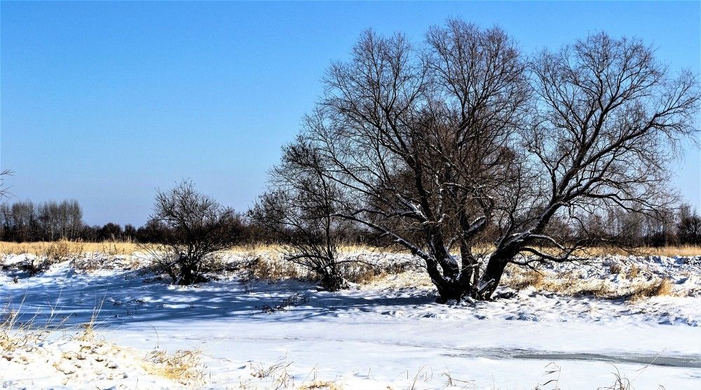 Зимняя тишина