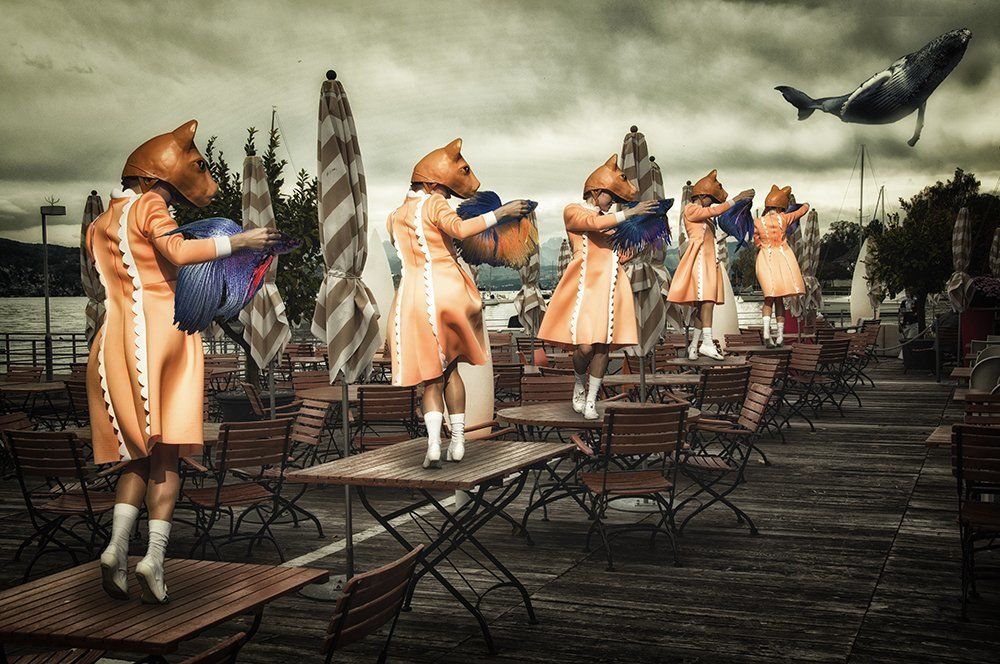 Territory of foxes - Територия лис