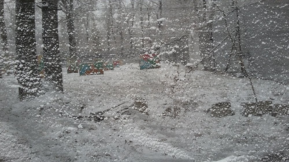 Первый снег