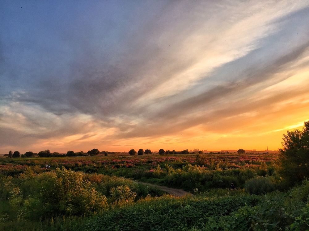 Летние краски