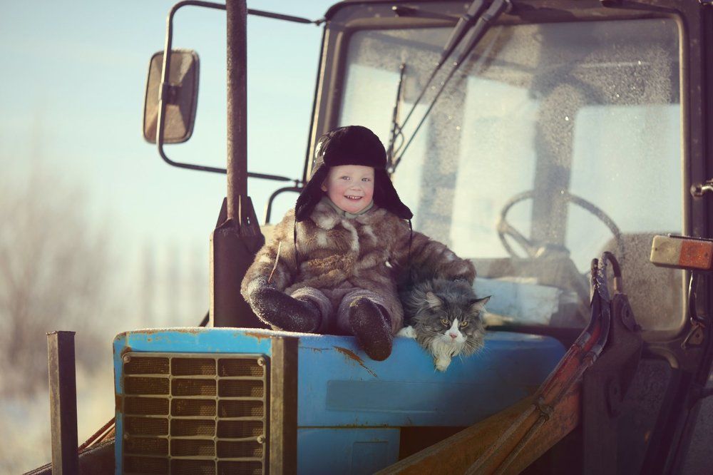 Верные друзья