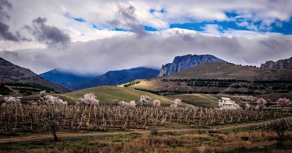 Photograph by Вадим Зюзин