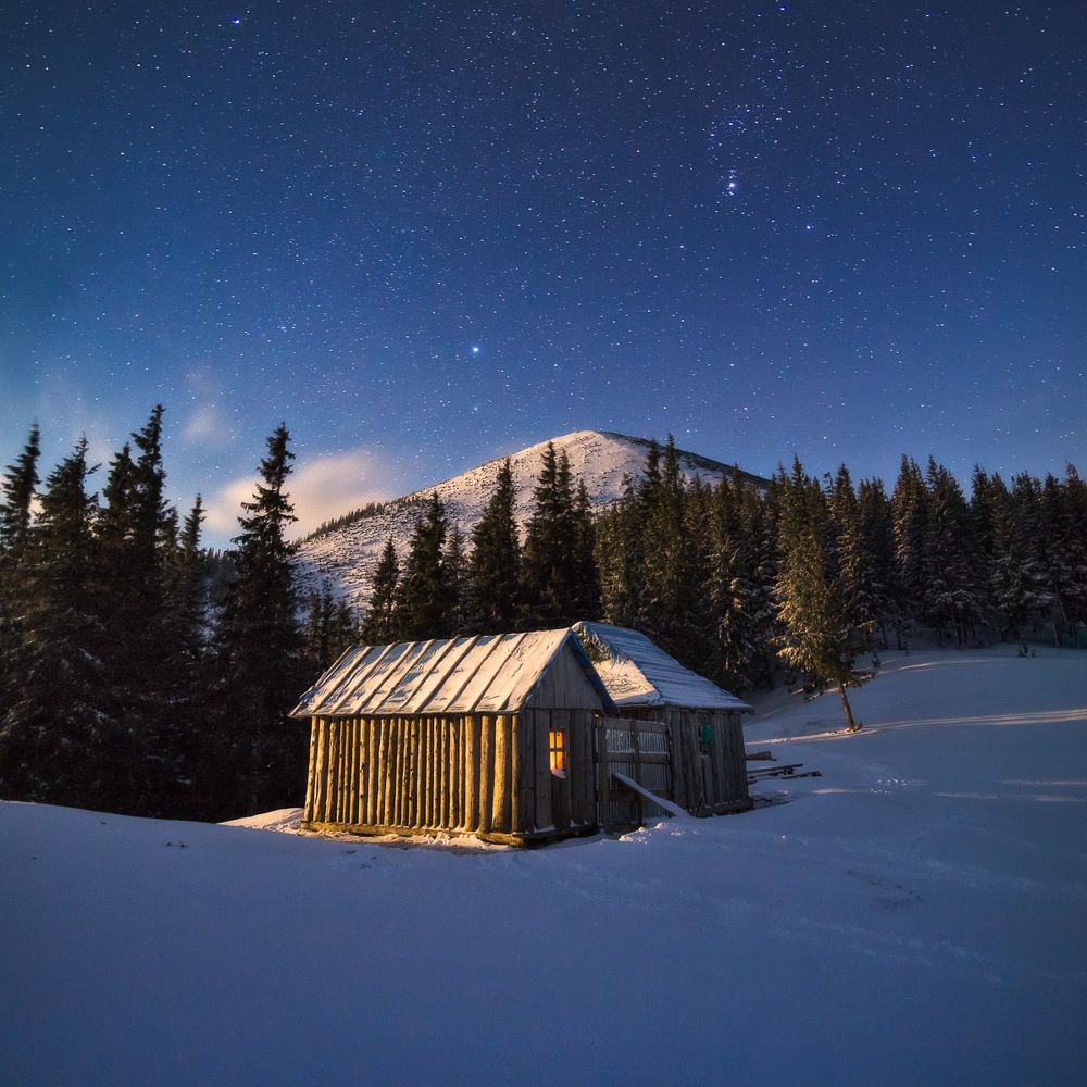 Ночь под Хомяком