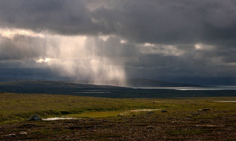 Солнечный дождь