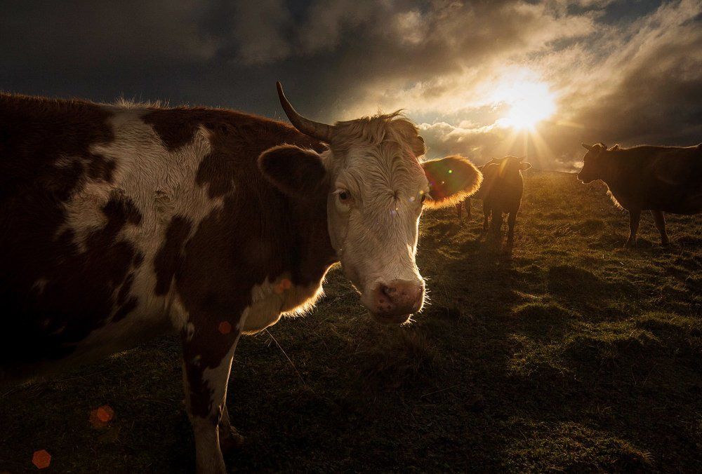 Закатное селфи