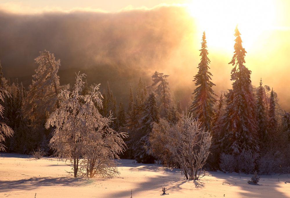 Ядерный закат